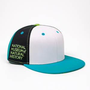 Dino Roar” Color Pop Snapback Cap for Kids By Twill Corner